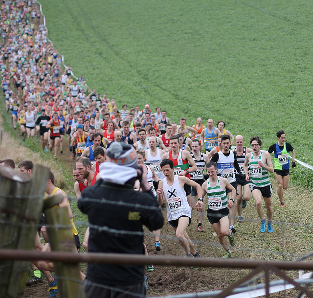 Harold Wyber Angus Holford National 2016