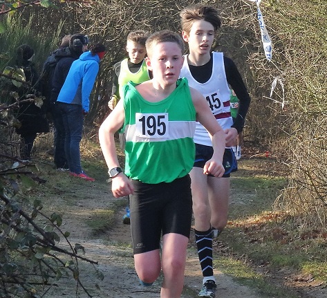 Liam Waldron Essex Schools XC